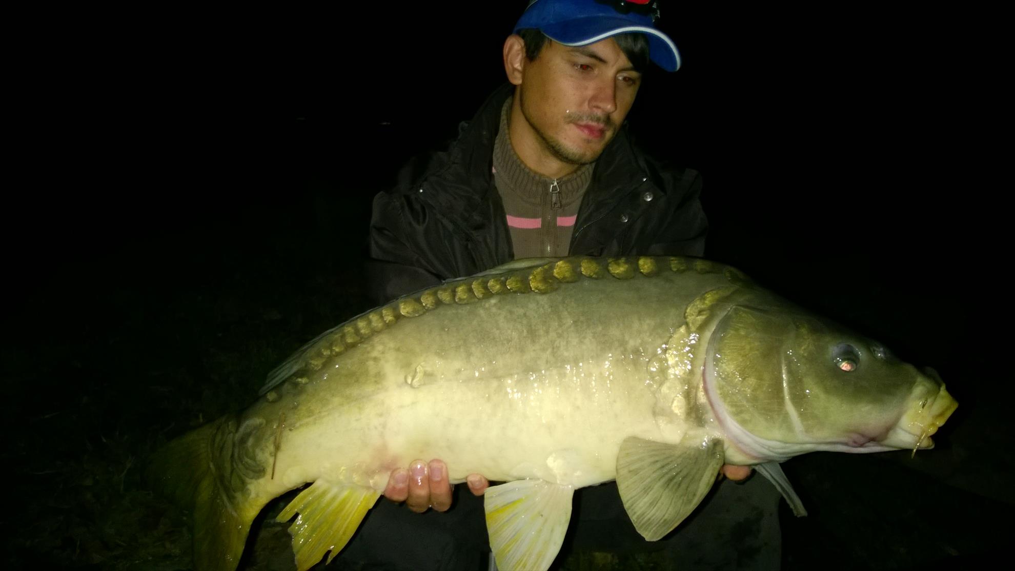 Hermes Peris 12 - 14 septembrie 2014 - wp20140914003.jpg